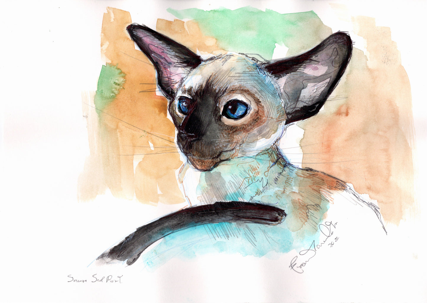 🐱 Gatto siamese: presenza elegante, voce che sa farsi sentire