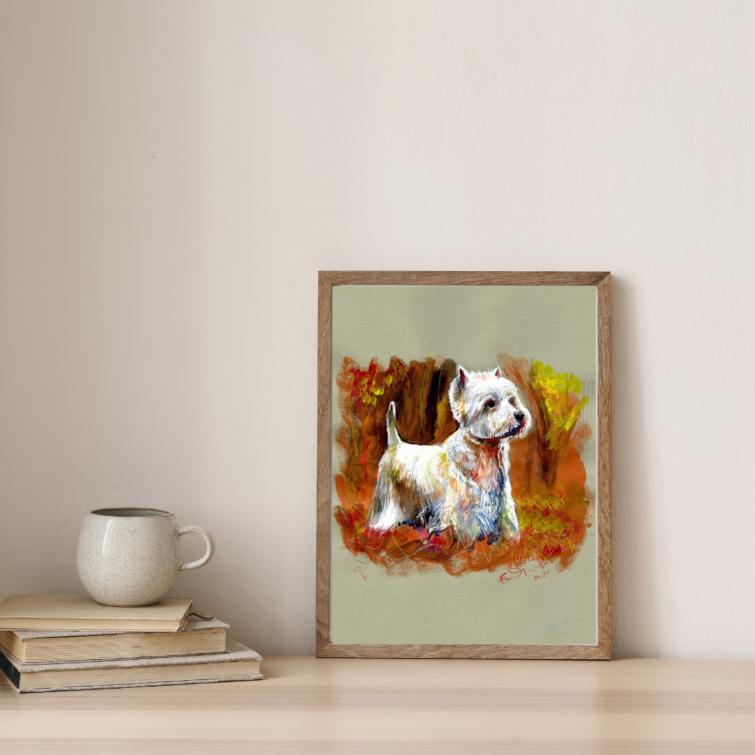 🐾 West Highland White Terrier: piccolo, ma con un cuore immenso