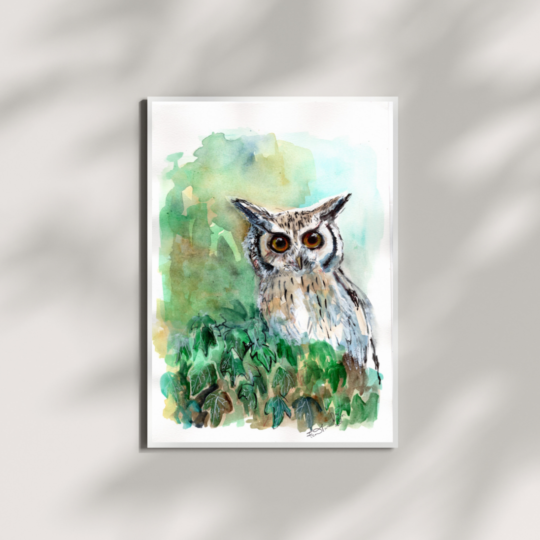 🦉 Il gufo: chi vede nell’ombra e ascolta oltre il rumore