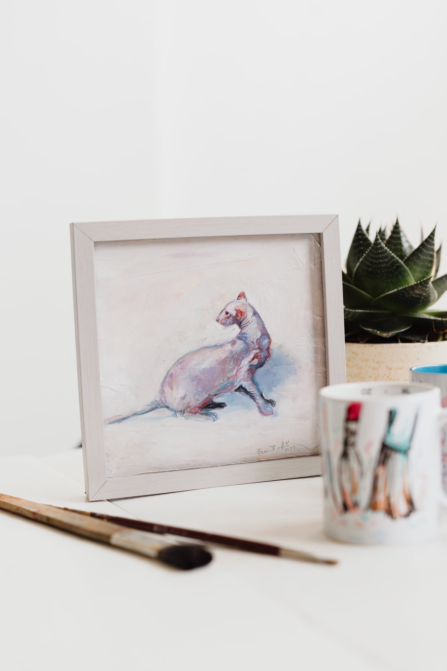 🐱 Lo Sphynx – Bellezza fuori dagli schemi