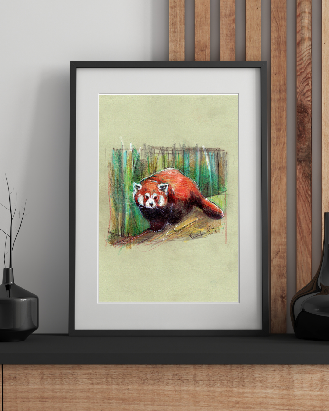 🍁 Il panda rosso: gentilezza che non chiede permesso
