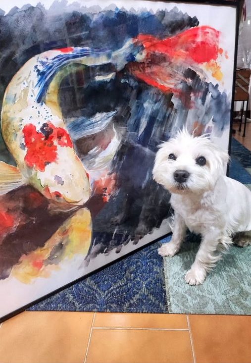 🎨 STORIA DI UNA CARPA SOLO APPARENTEMENTE FERMA
