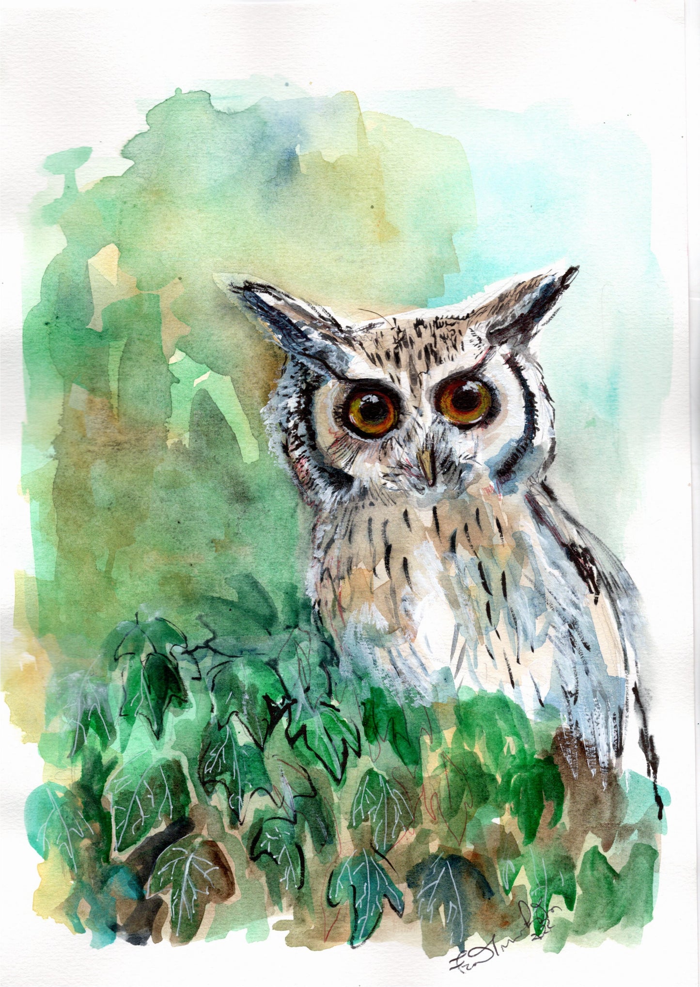 🦉 Il gufo: chi vede nell’ombra e ascolta oltre il rumore