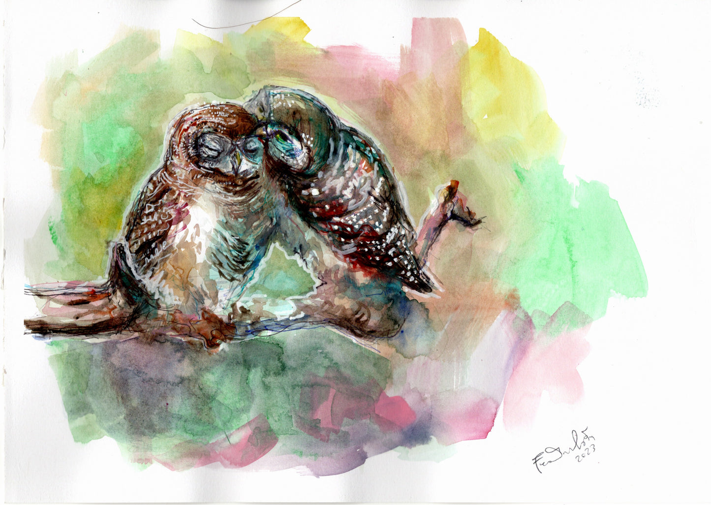 🦉🦉 Coppia di civette: quando l’intesa è fatta di silenzi condivisi