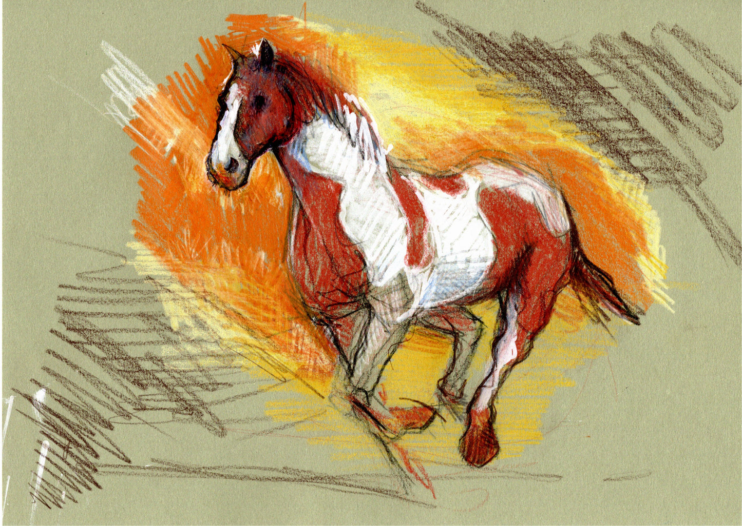 🐎 Il cavallo: libertà che sa restare