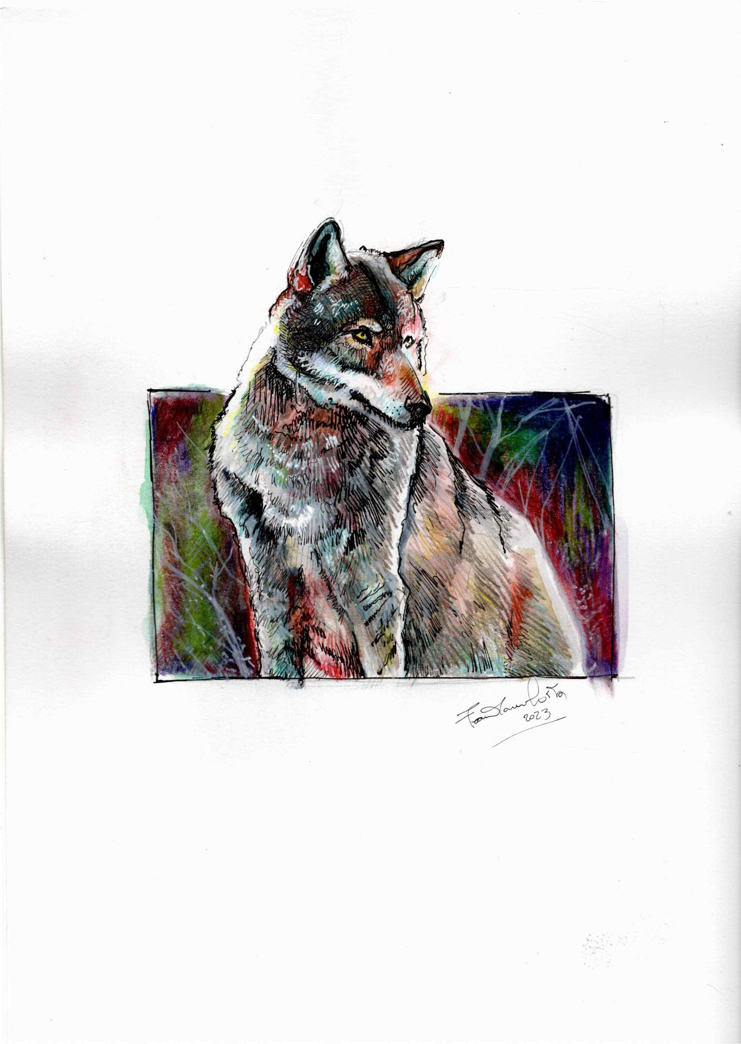 🐺 Il lupo: forza silenziosa e presenza che guida