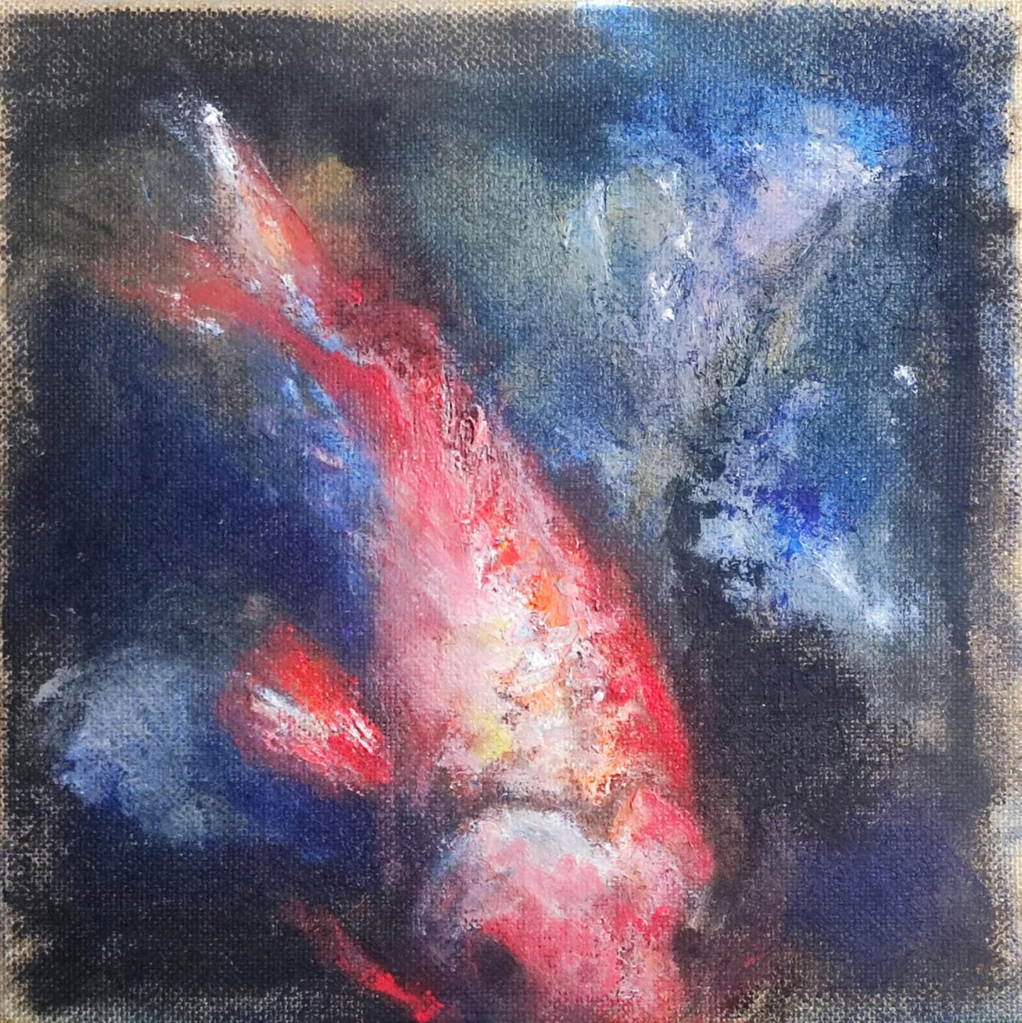 🎣 Carpe fuori fuoco